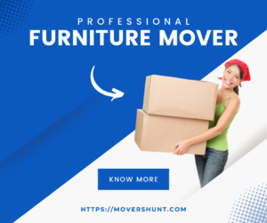 Safety and Security of Furniture Mover and Packer in Dubai