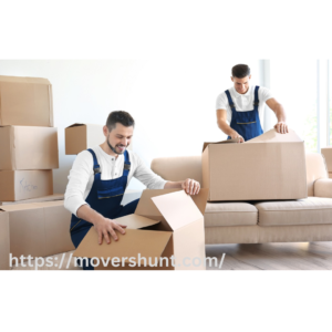 movers and packers 