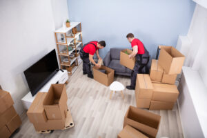 Professional Packers and Movers in Abu Dhabi