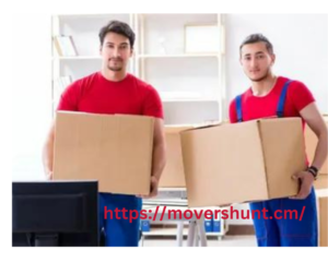 Status of Professional Movers and Packers in Business Bay